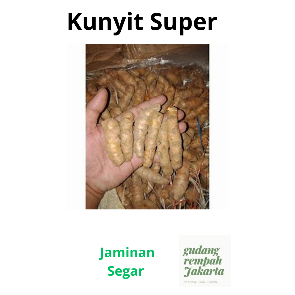 

KUNYIT SUPER SEGAR FRESH 500 GRAM