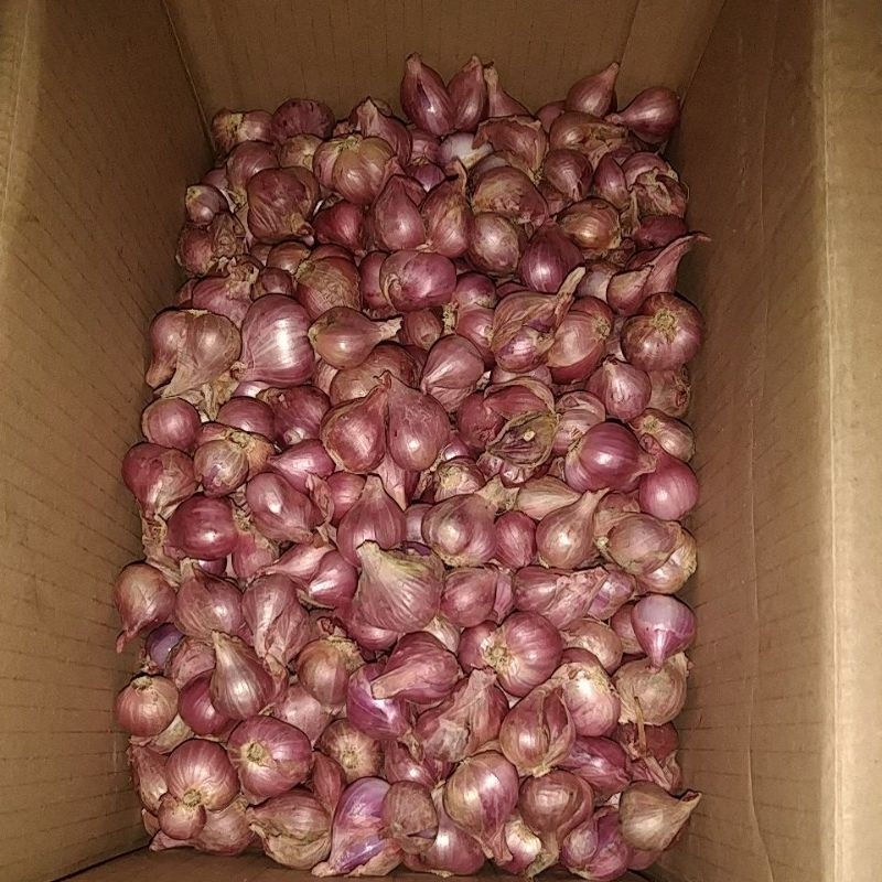 

bawang merah