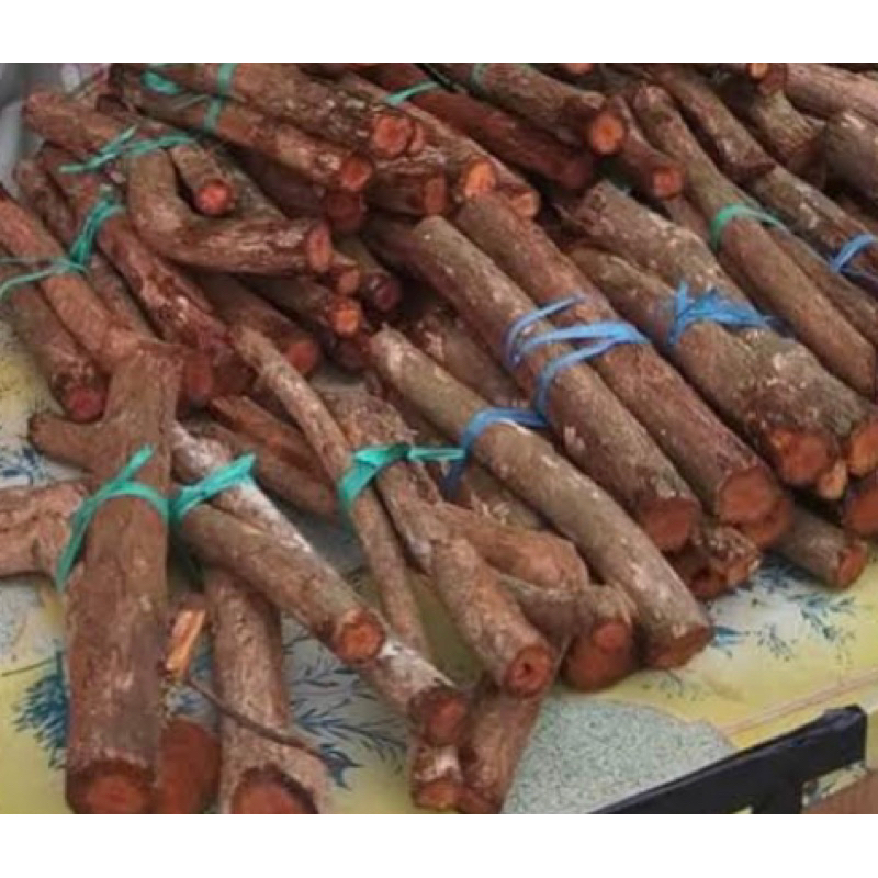 

Akar pohon mahoni akar mahoni segar 500 gram-az