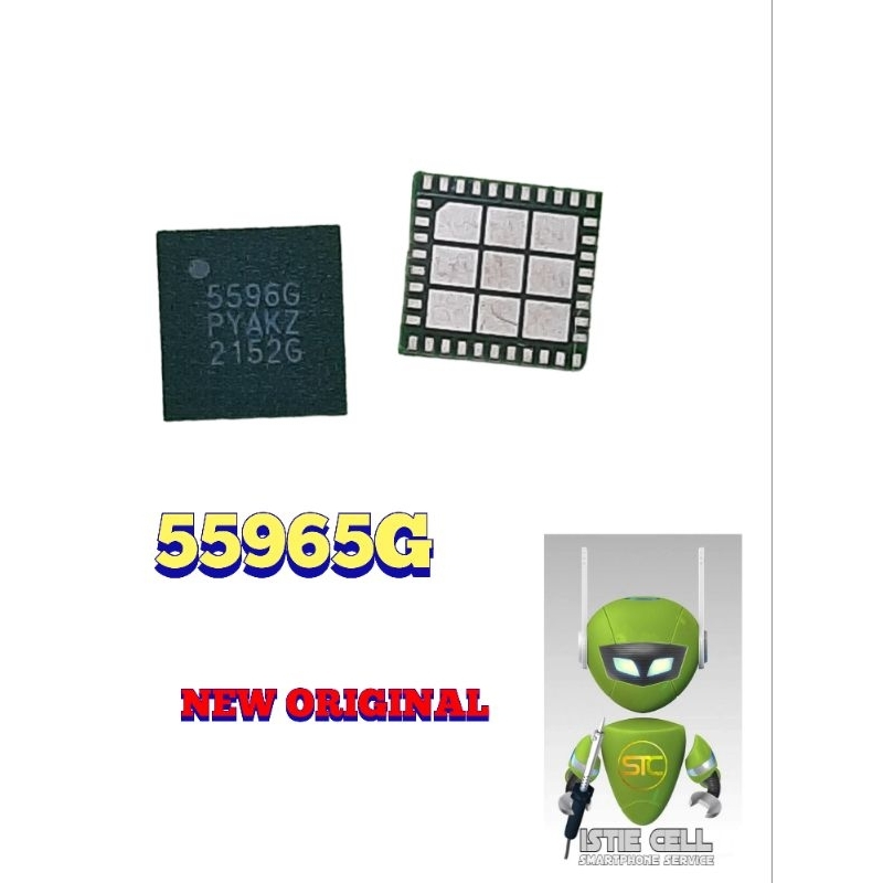 IC 5596G NEW ORIGINAL