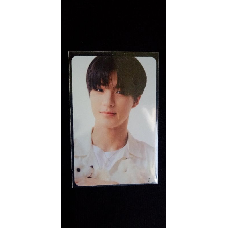 PC JENO BONEKA SG22 BENE SMSTORE