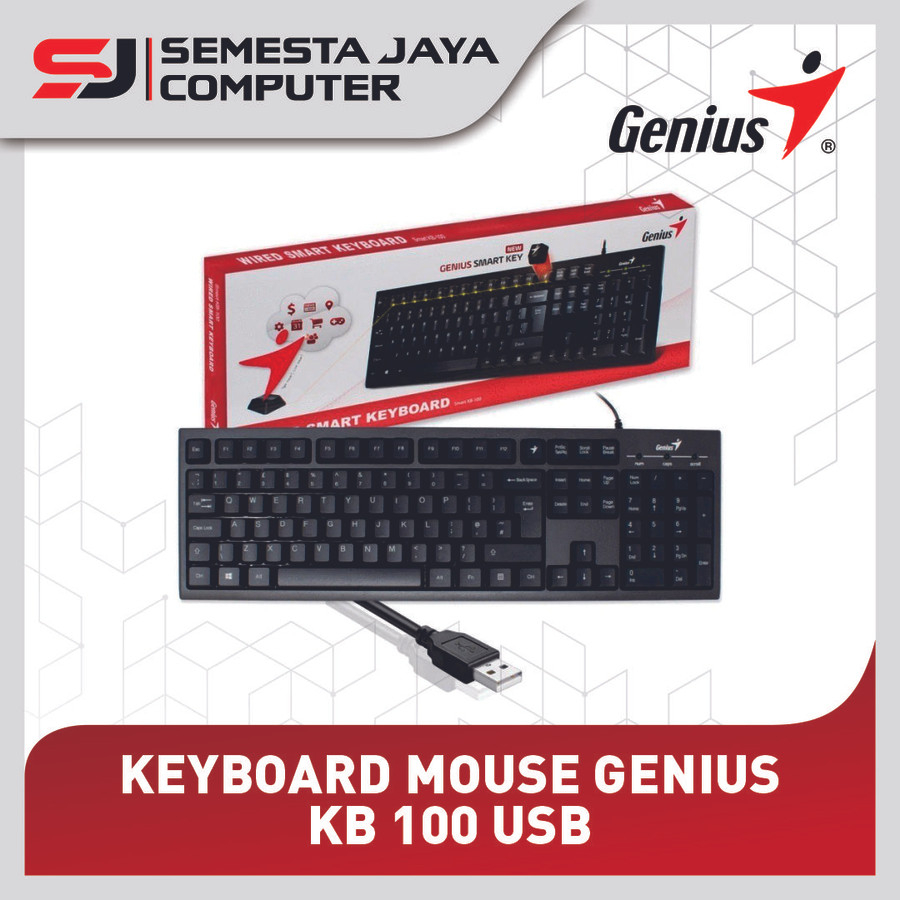 Keyboard Genius KB 100 USB