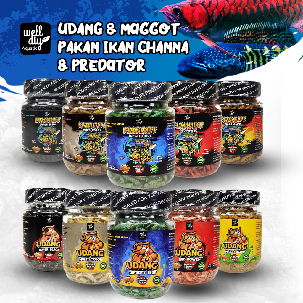 Udang Kering Pakan Ikan Channa Chana Maggot Predator Reptil Red Yellow Blue Multi Color - 30gr