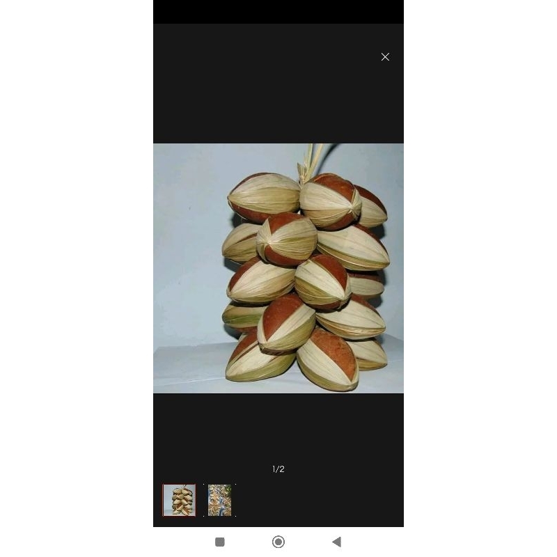 

GULA MERAH/GULA AREN