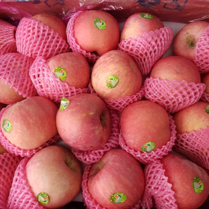 apel fuji buah 1kg