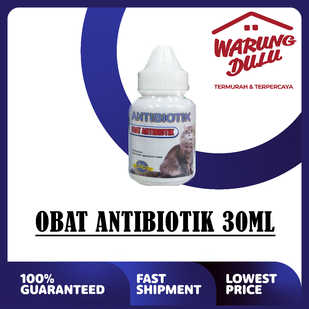 Obat Antibiotik untuk Kucing demam,radang,lemas tidak nafsu makan dll