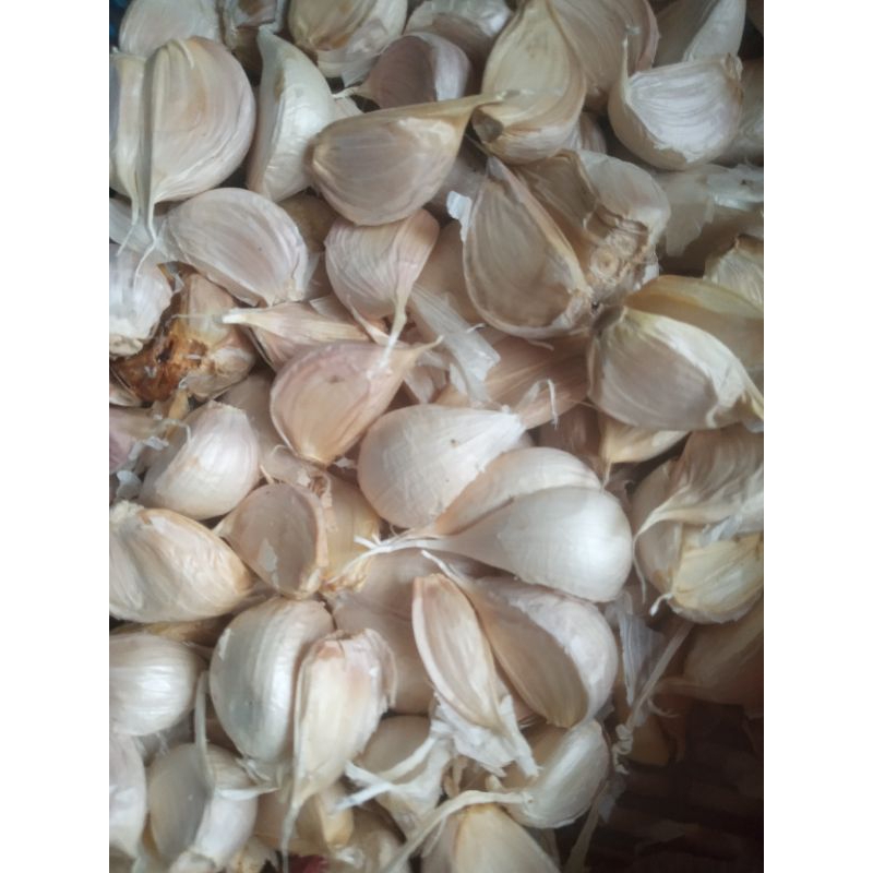 

BAWANG PUTIH KATINGGG