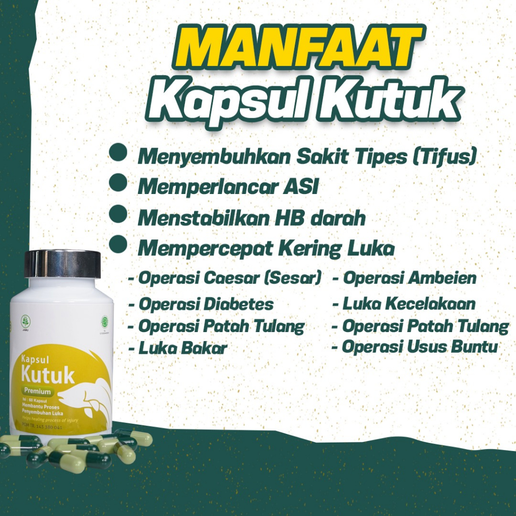 Paket 3 Kapsul Kutuk Premium -  Original Kapsul Kutuk Premium 5x Cepat Sembuh Pasca Operasi Diabetes - Ekstrak Albumin Ikan Gabus Tingkatkan Daya Tahan Tubuh Perbaiki Gizi Buruk