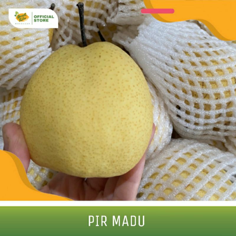 

PIR MADU IMPORT
