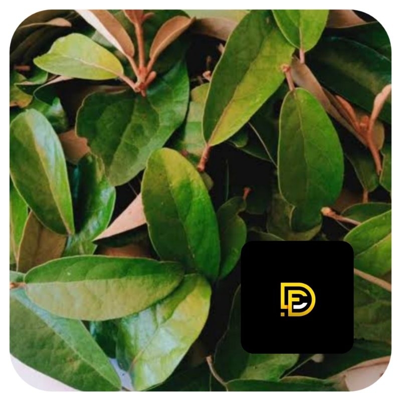 

Benalu rambutan segar 500 gram fresh-az