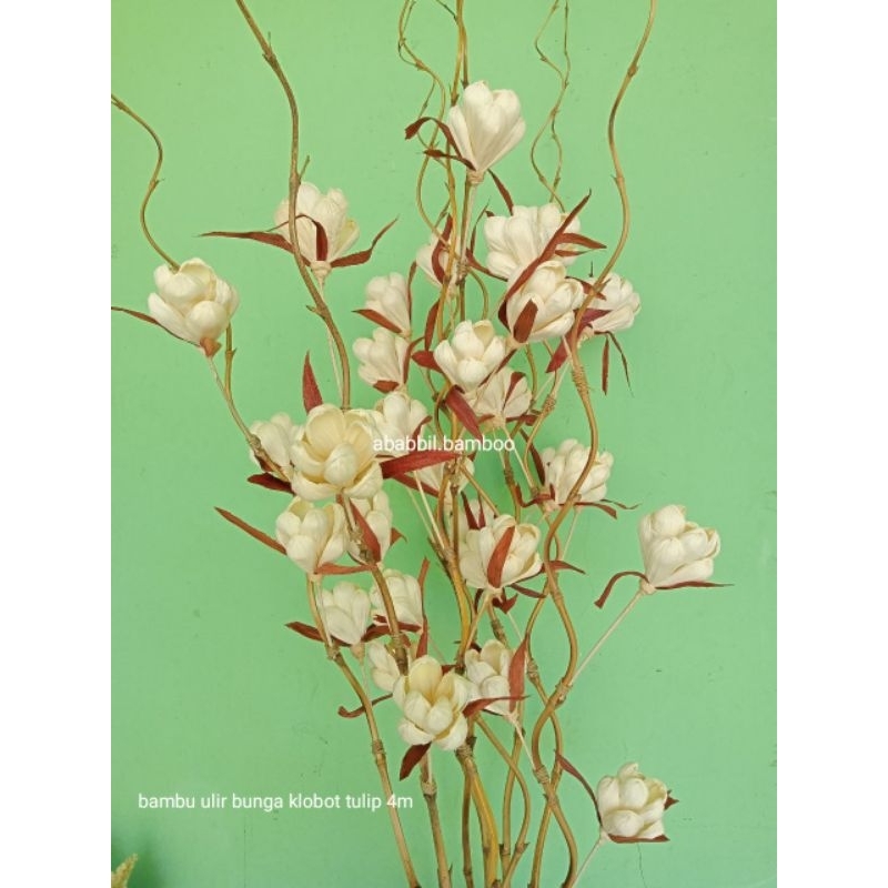 1 BAMBU ULIR BUNGA KLOBOT TULIP MINI4