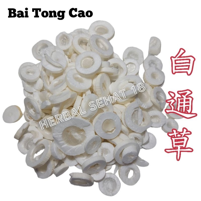 

50 gram - Bai Tong Cao 白通草 Baitongcao Rice Paper Plant Tetrapanax Papyriferum Bek Tong Cao Tongcao