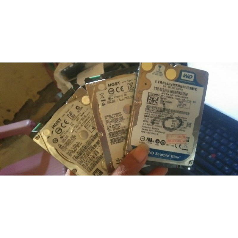 Hardisk Laptop/netbook 320 Gb plus windows 10 pro 64