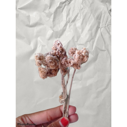 

KOMPLIT Hiasan Parcel Seserahan Hiasan Parcel Pernikahan Hiasan Parcel Congratulation Hiasan Parcel Tahun Baru Hiasan Parcel Selamat