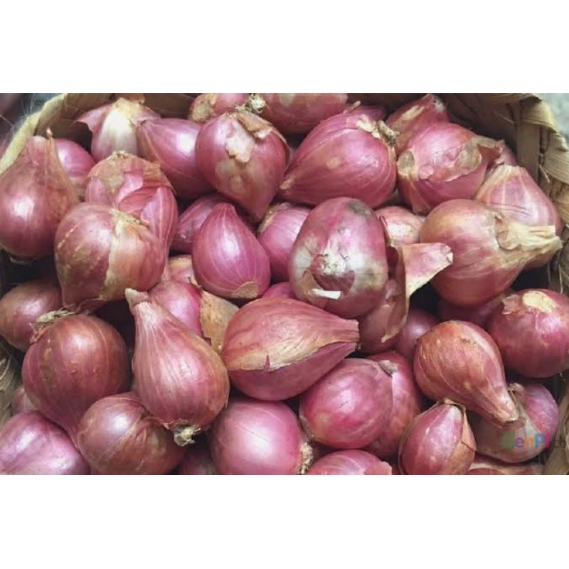 

Bawang Merah