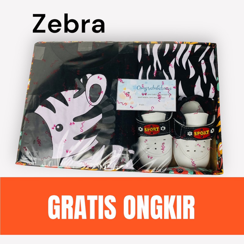 Hampers bayi newborn Kado lahiran bayi cowok Parcel bayi laki laki