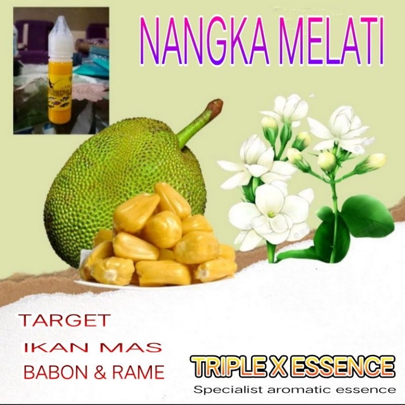 Essen oplosan / Essen Triple x Nangka Melati ikan mas