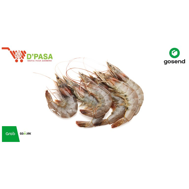 

KIRIM INSTAN Udang Segar Kelong Vaname ukuran Sedang 250gr Ikan Segar