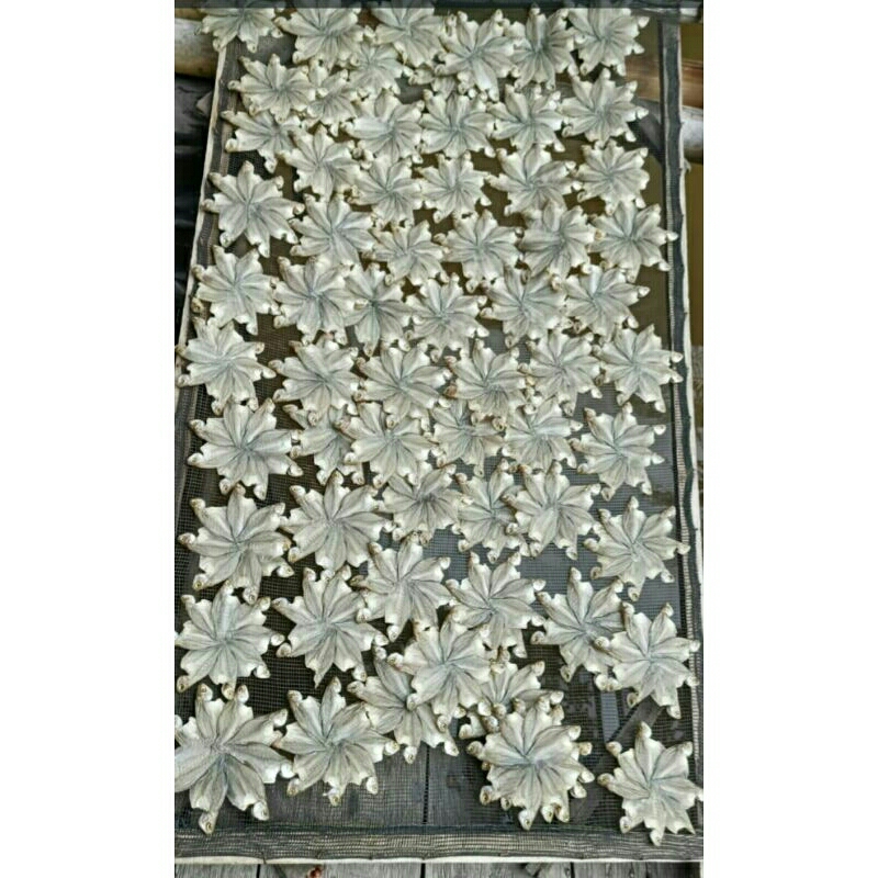 

ikan asin sepat rawa,baru kemasa 250gr (ASAL KALIMANTAN)