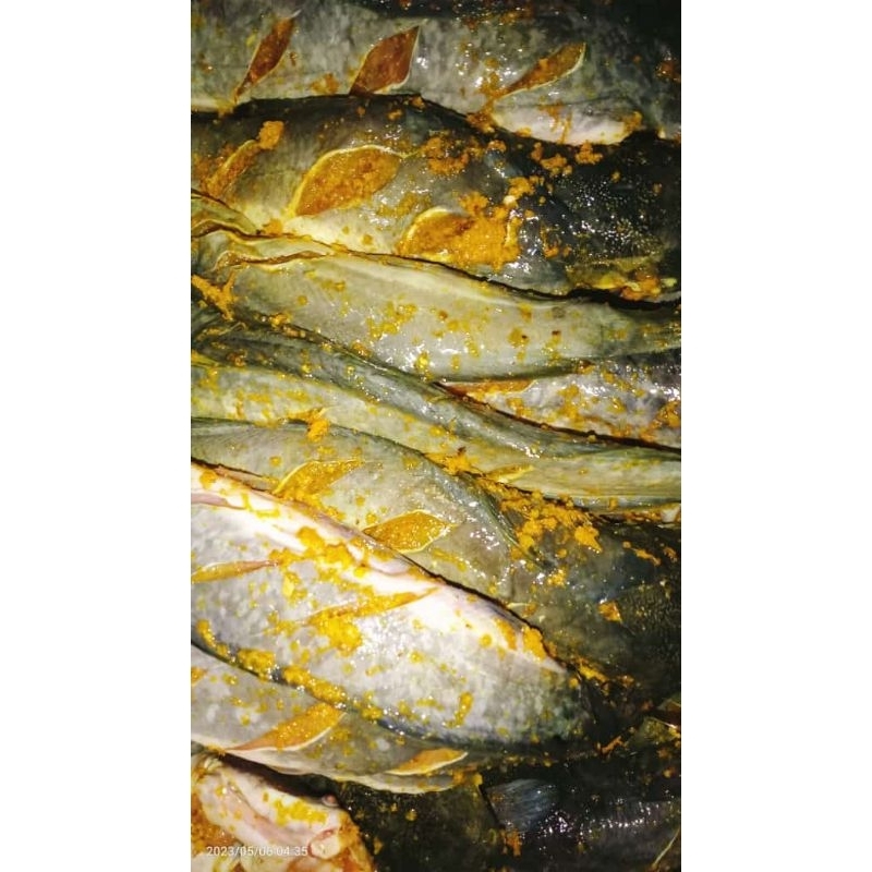 

Ikan Lele Ungkep bumbu kuning , FRESH ,satuan