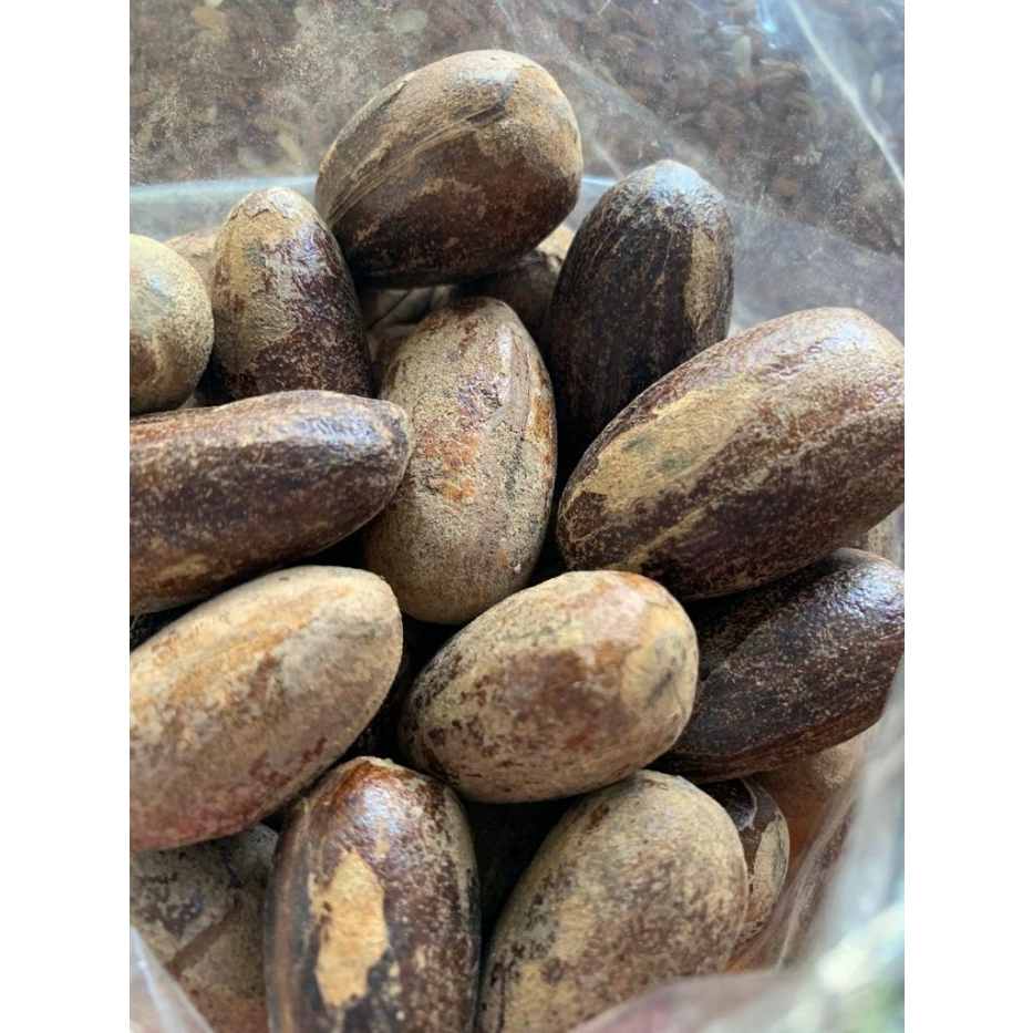 

BIJI PALA UTUH / NUTMAG WHOLE 1 PCS