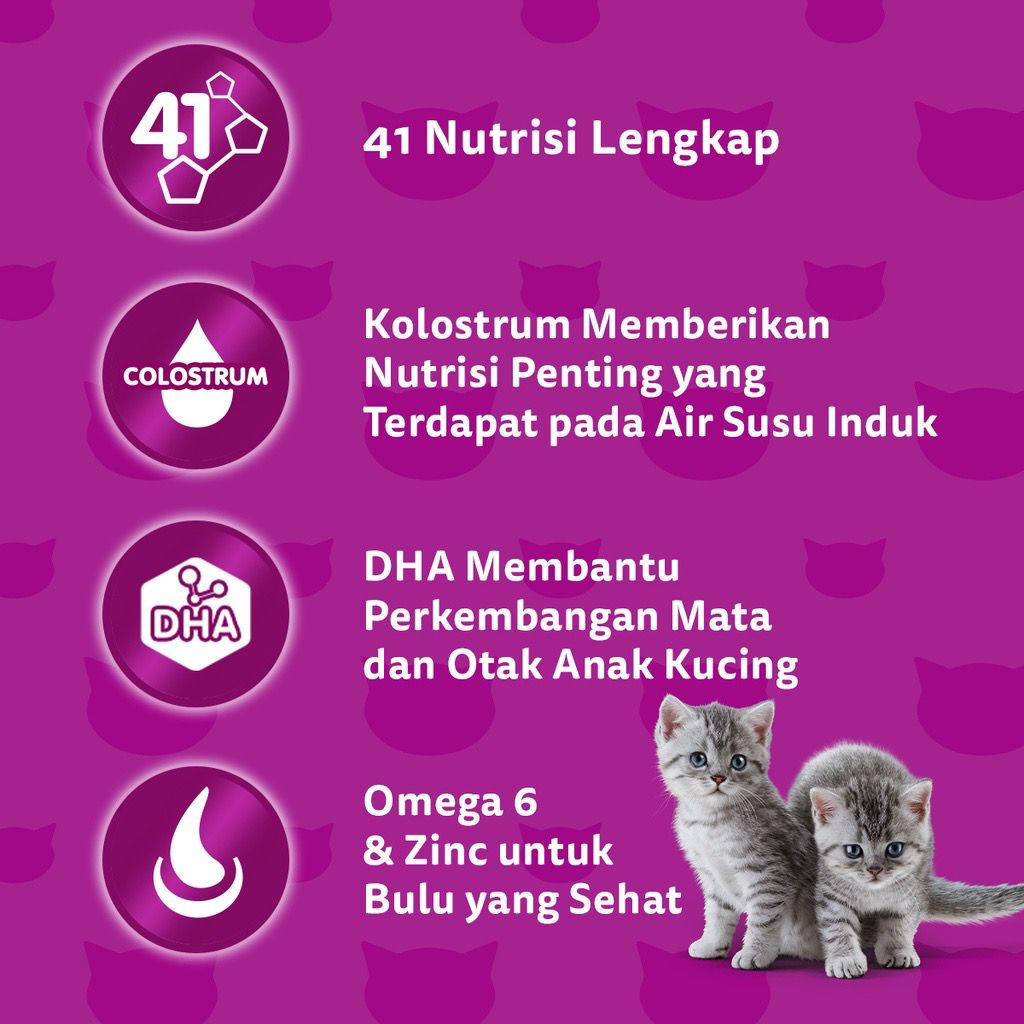 WHISKAS JUNIOR 6.5 KG MAKANAN KUCING DRY FOOD UNTUK KITTEN CAT FOOD ANAK KUCING