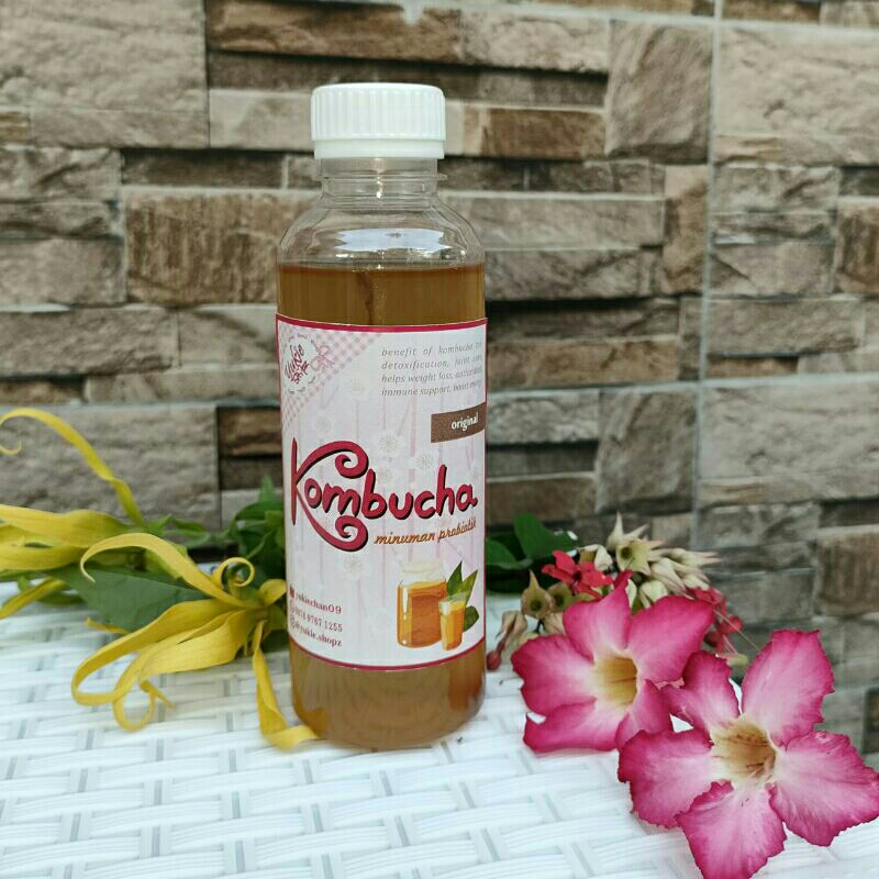 

kombucha original