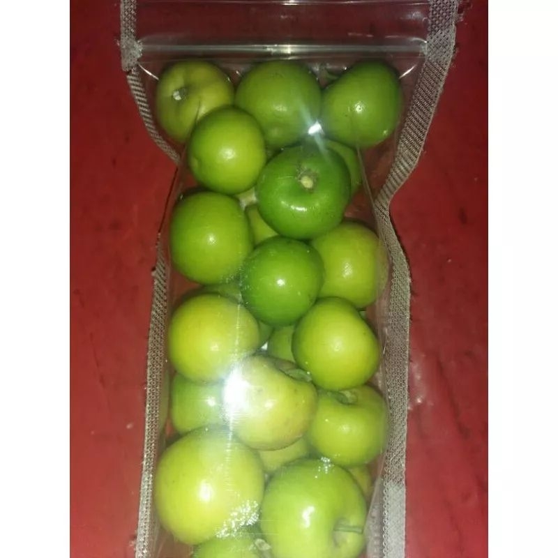 

Buah Bidara Segar Fress Arab Asli Sidr [ ecer / Satuan ] Murah Besar Fruit Herbal Tradisional bisa Cod