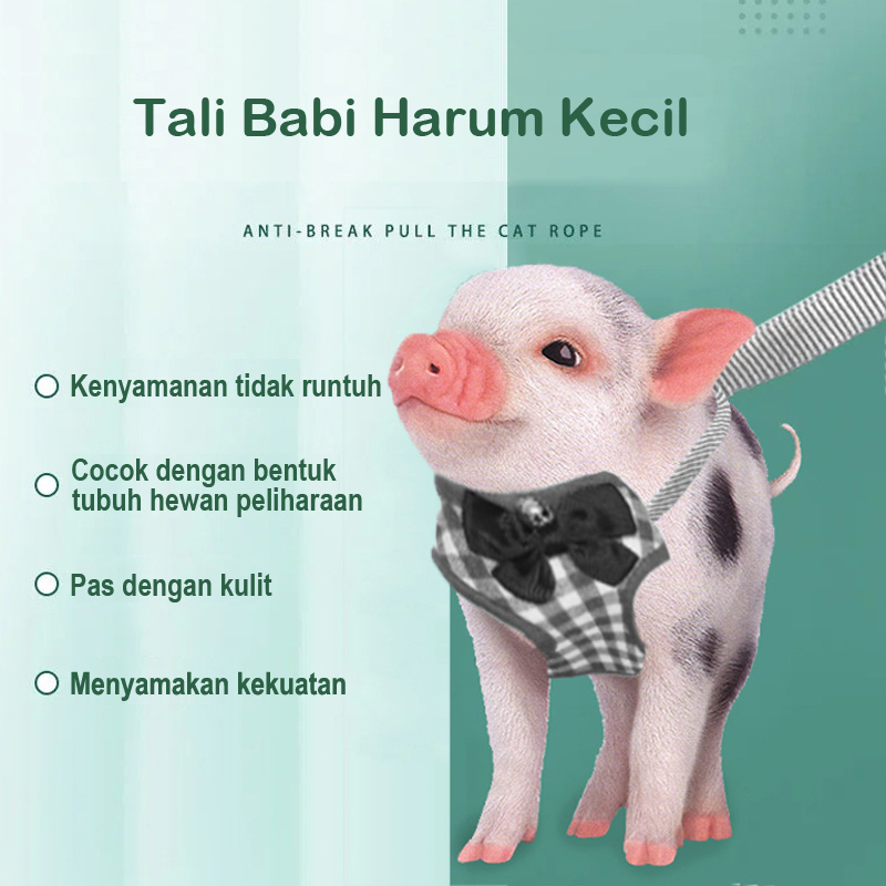 Harness Baju Kucing Tali Kucing Kelinci Rompi Anjing Hewan Peliharaan Babi Penyesuaian lucu Busur XS L