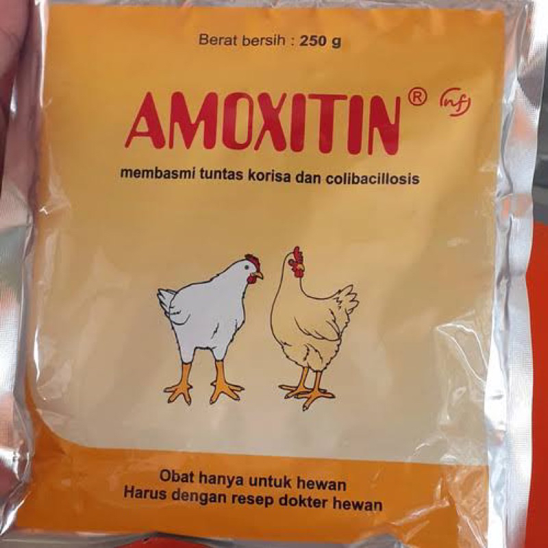 AMOXITIN 250g