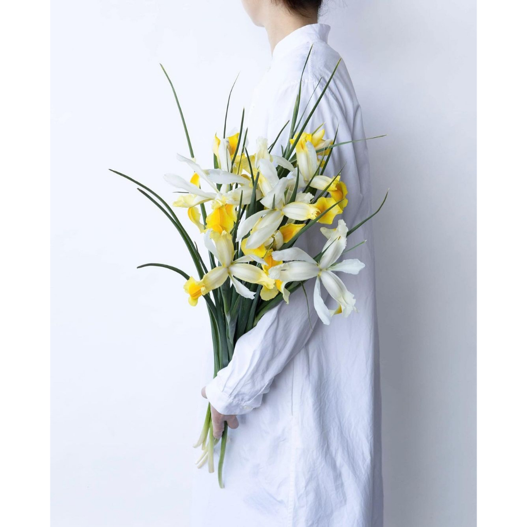 15 Benih Biji Bunga Iris Import Montecito