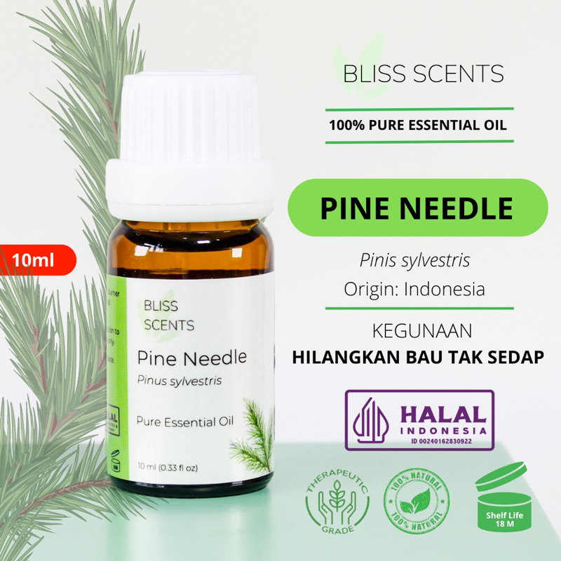 Bliss Pine Needle / Pinus Essential Oil Aromaterapi 100% Murni Therapeutic Grade Aromatherapy