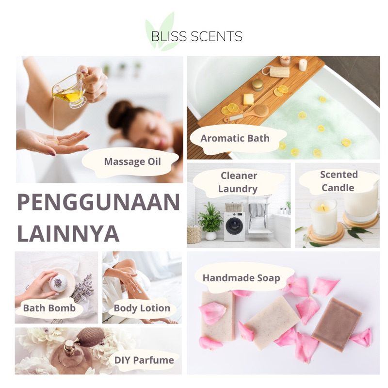 BLISS SCENTS Paket Sweet Citrus (Orange, Tangerine, Grapefruit) Essential Oil 100% Murni