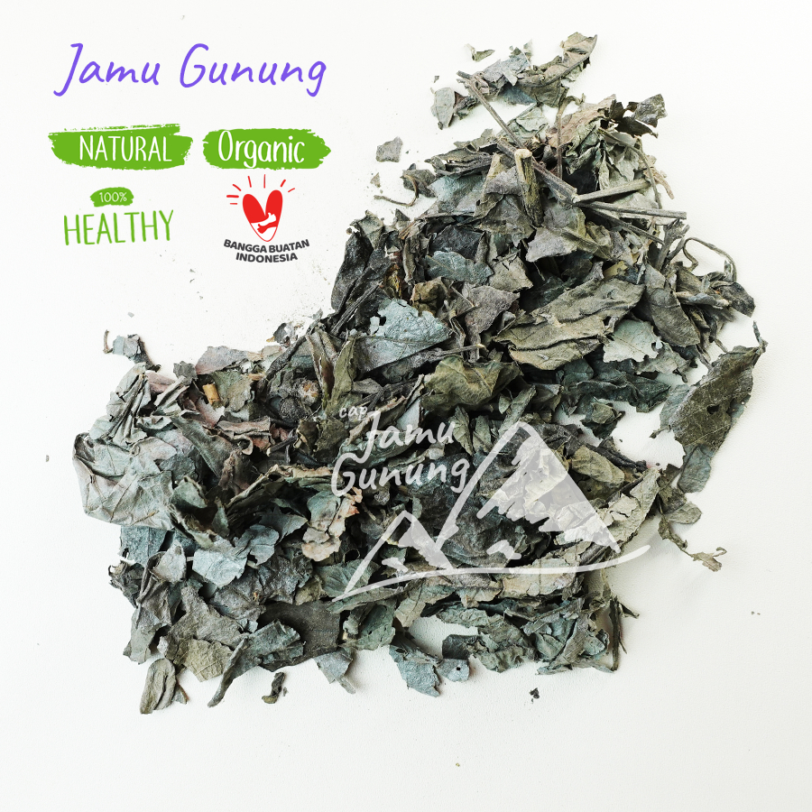 

Daun Keji Beling 100gr atau Enyoh kelo Kering - Higienis