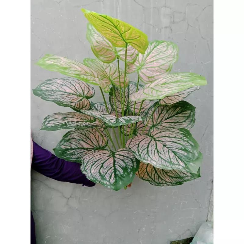 keladi pink 18 daun / tanaman artificial jumbo / talas pink / bunga hias plastik