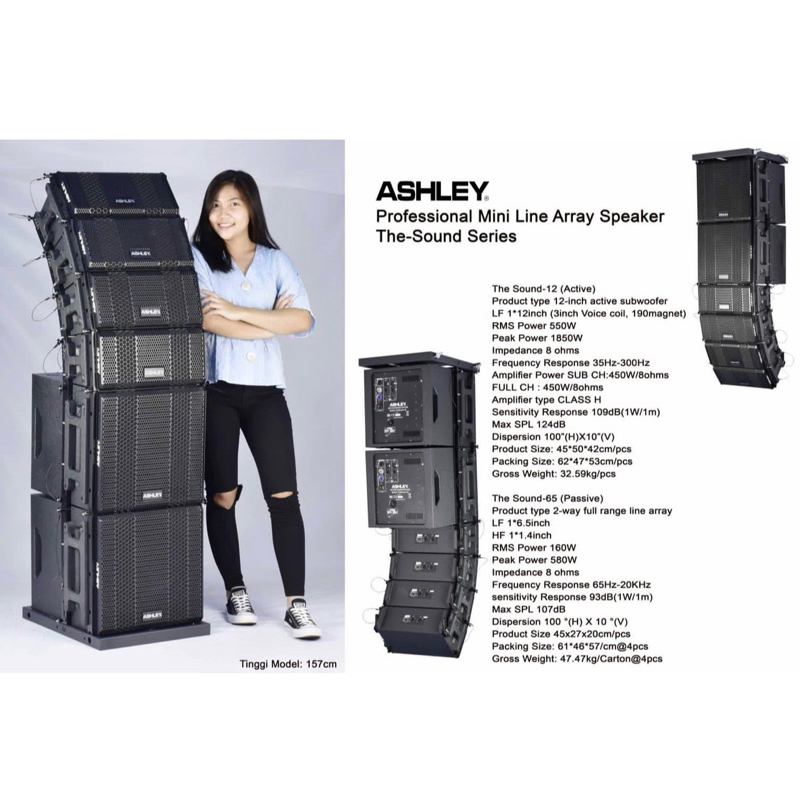 Speaker Line Array Ashley The Sound Series 6.5 inch Sub 12 inch Aktif