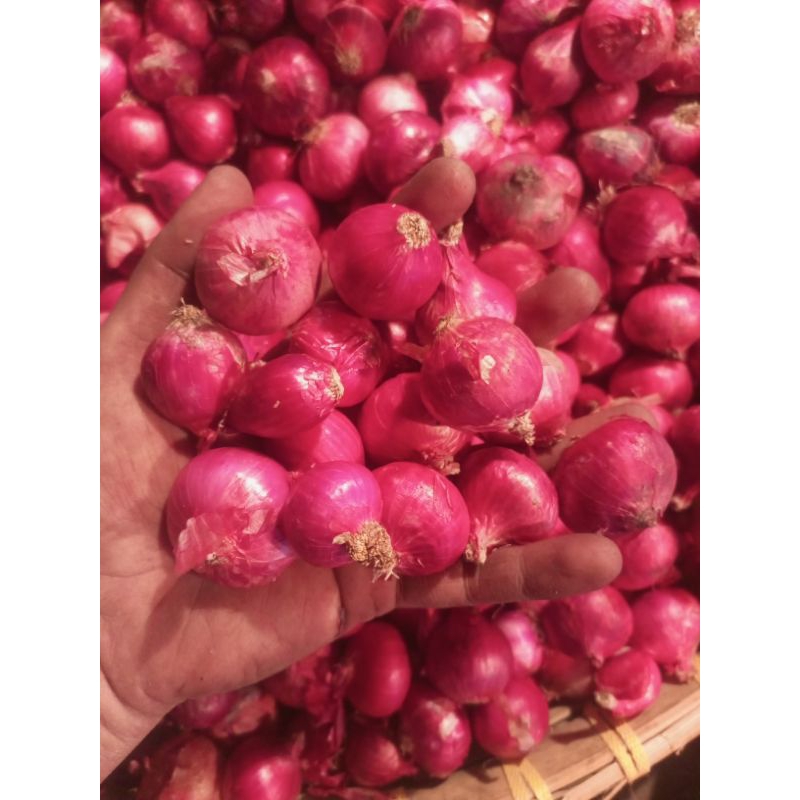 bawang merah brebes 1kg/murah/diskon/flashsale/live