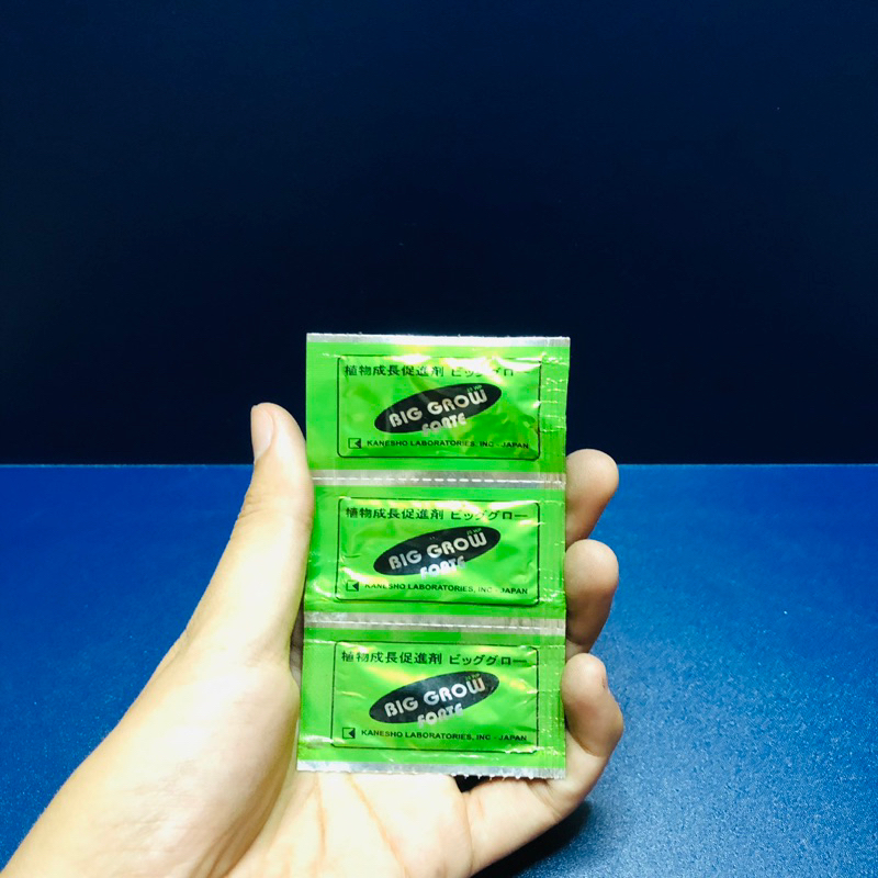 ZPT Big Grow Forte 20WP sachet pupuk