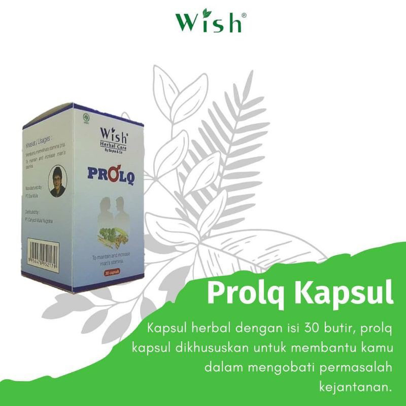 wish ProlQ kapsul_ Multivitamin Pria 30 kapsul