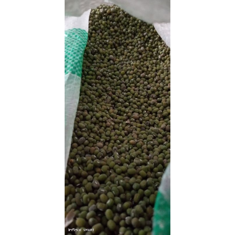 

kacang hijau stengah kg