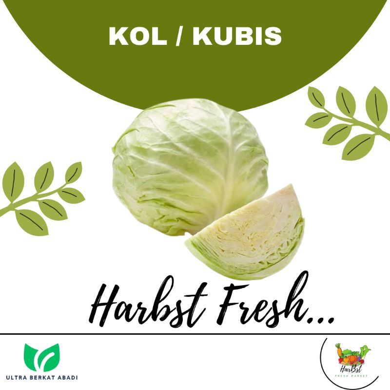 

SAYUR KOL / KUBIS
