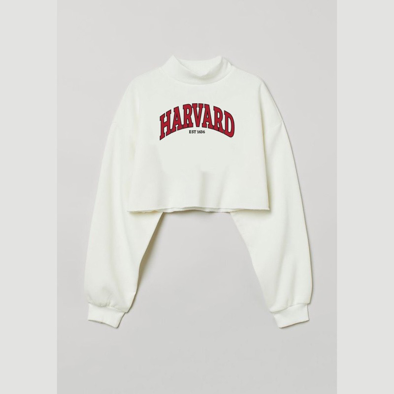 Sweater Crop Turtleneck HARVARD Fleece (LD 110, P 43)