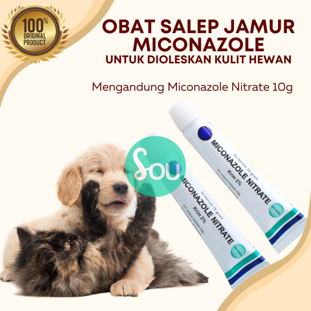 Obat Jamur Kucing Anjing Salep Oles Luka Infeksi Miconazole Nitrate 2%