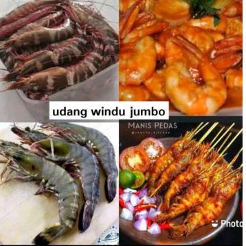 

udang windu