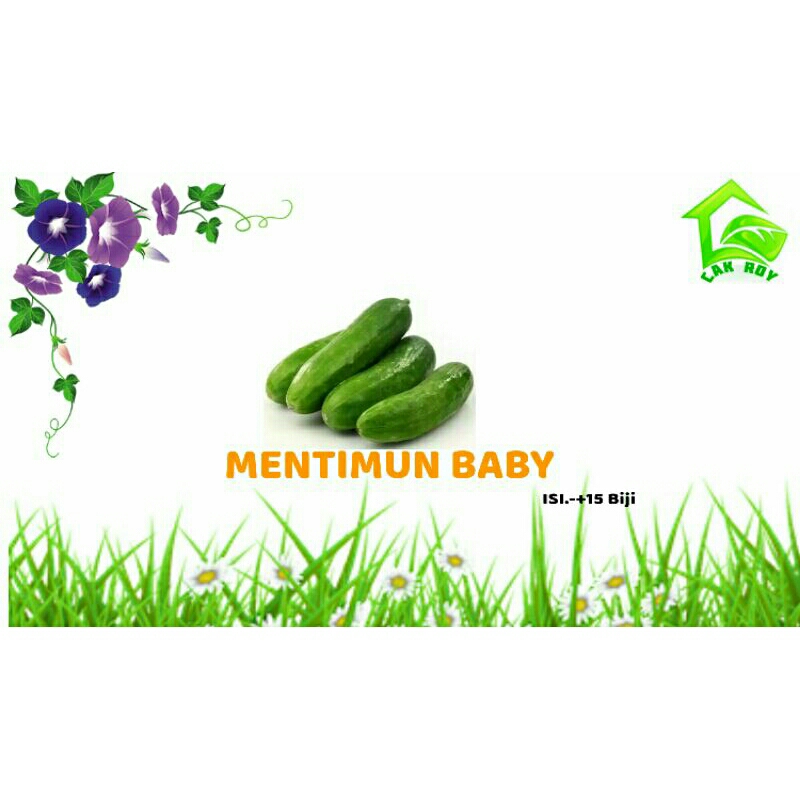 BIBIT MENTIMUN BABY