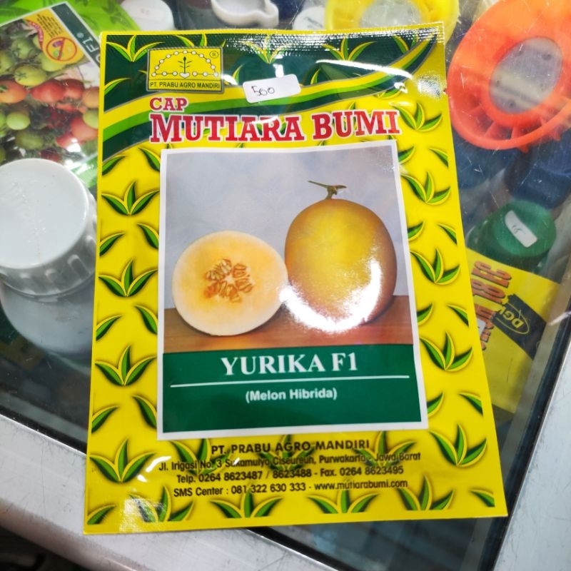 

Melon Golden YURIKA F1 15grm HIBRIDA