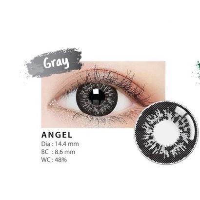 SOFTLENS LIVING COLOR ANGEL GREY ( MINUS -0,50 S.D -8.00 )