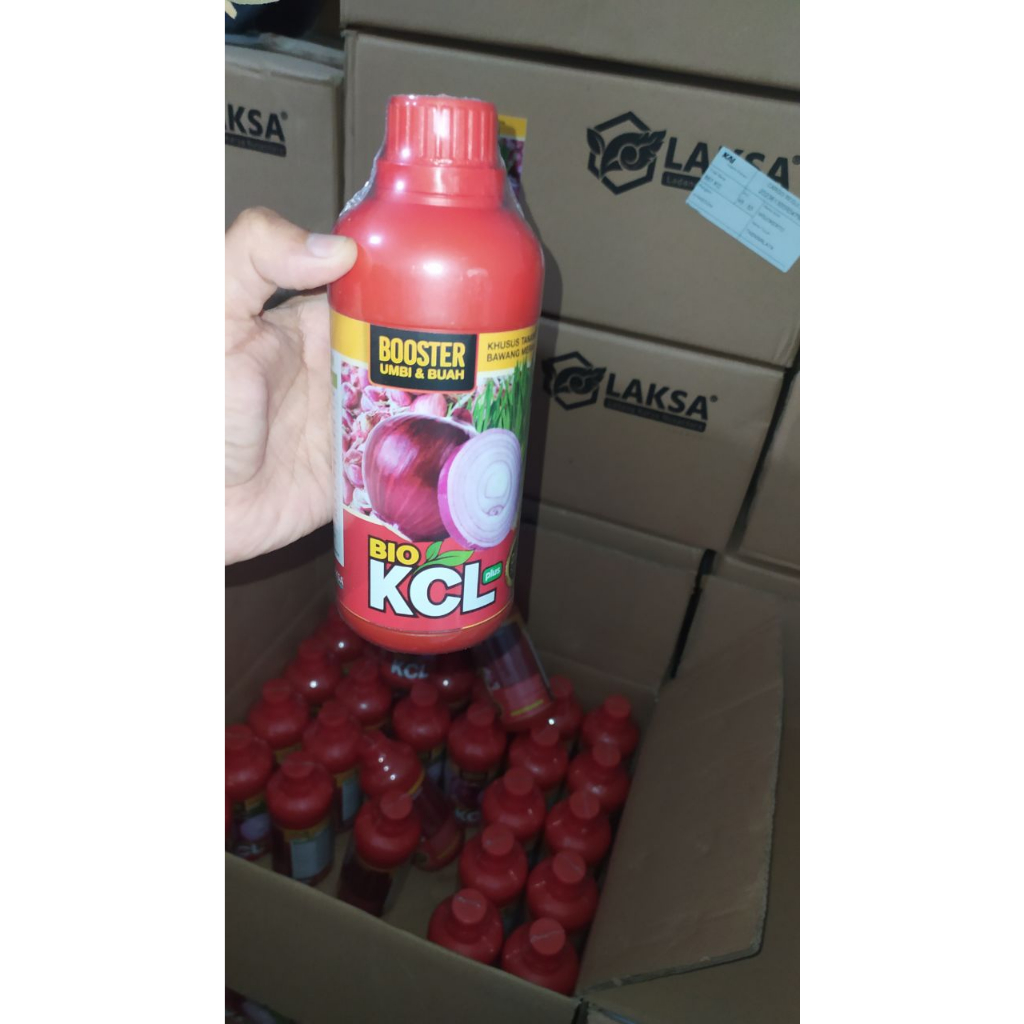 Bio KCL Plus 500ML Pupuk Booster Umbi Bawang Merah Terbaik, Pupuk Penyubur Bawang Merah Paling Bagus Melindungi Batang dan Daun dari Pembusukan, Obat Semprot agar Batang dan Daun Bawang Merah Tidak Busuk, Obat Anti Busuk Bawang Merah