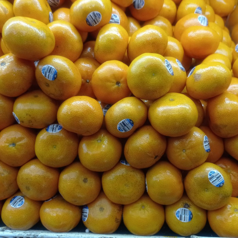 

Jeruk tampa biji afourer ausralia | Promo Buah jeruk afourer seedless