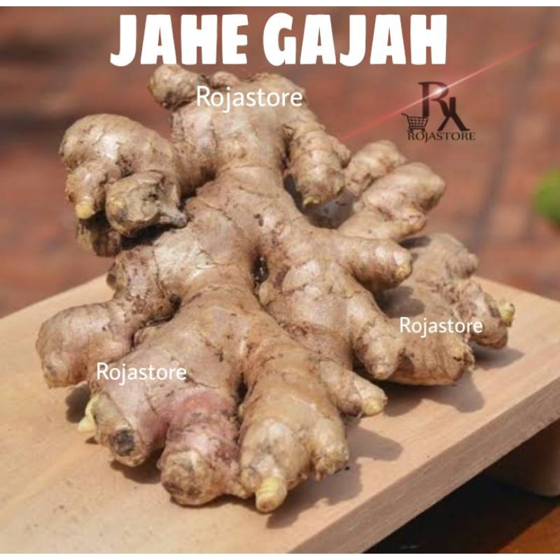 

Jahe gajah--bumbu rempah dapur 1kg